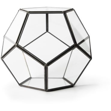 SuperMoss Glass Terrarium Dome