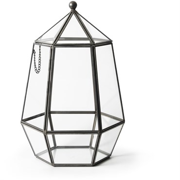 SuperMoss Glass Terrarium Atrium