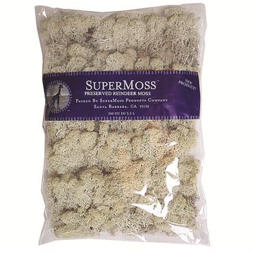 SuperMoss 8oz Reindeer Moss Natural