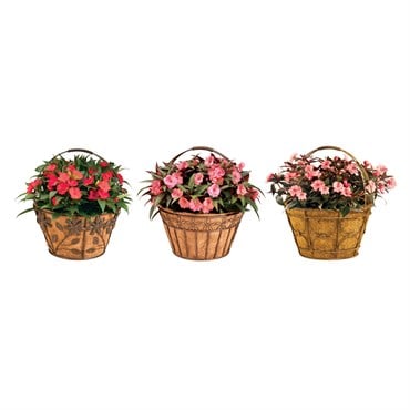 Deer Park Basket Variety Pk 2 Floral Daisy Ribbon Arch