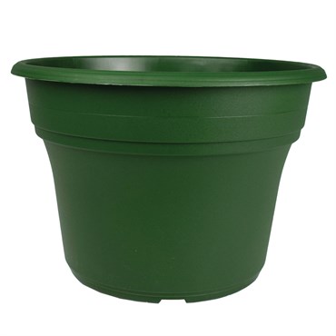 HC 8" Panterra Planter Green