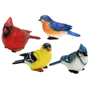 MCarr 4pc Mixed Small Bird Assortment