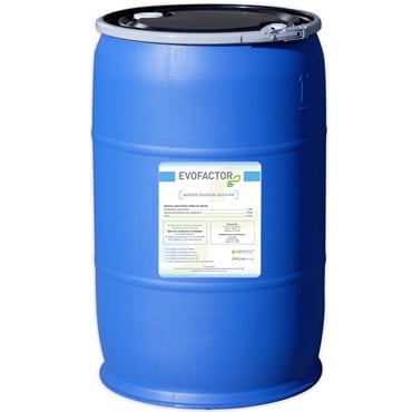 Verano 365 Evofactor 55Gl (F) (Direct) (4/PL)