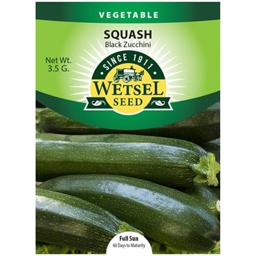 SQUASH, BLACK ZUCCHINI 3.5 G