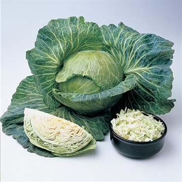 Cabbage, Wisconsin All Season - 1/2oz