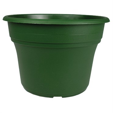 HC 8" Panterra Pot Green