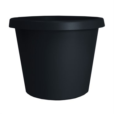HC 8" Prima Planter Black