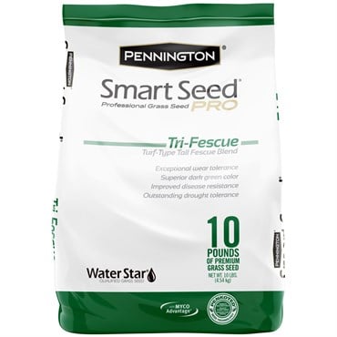 Pennington 10