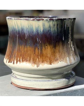 Verandah 5.5" Lily Pot with As Mch
