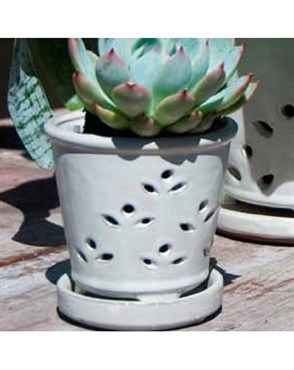 Verandah 7.5" Wsp Waikiki Orchid Pot