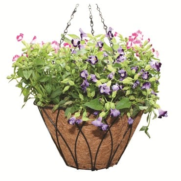 Austram 12" Lotus Planter Black with Chain