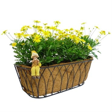 Austram 24" Lotus Trough Planter Black