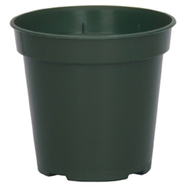 DLN 03.50 RND STD T/W TL 300GN 1225/CS 36CS/PL