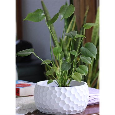 Fiesta Art 9" Decor Honeycomb Bowl
