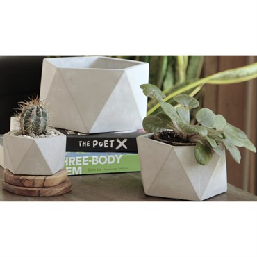 PHG 3.5"x2" Geometry Pentagon Planter Polished Concrete
