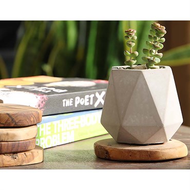 PHG 3"x3" Geometry Skyline Tumbler Planter Polished Concrete
