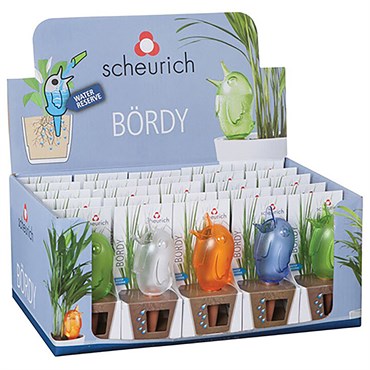 Scheurich Small Bordy Assorted Planter