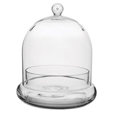 SSI 7" x 8 1/4" Terrarium Cloche