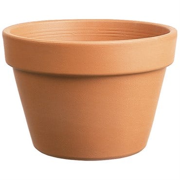 Southern Patio 6" Azalea Clay Pot