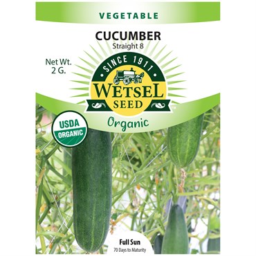 Organic Straight 8 Cucumber - 2 Gram