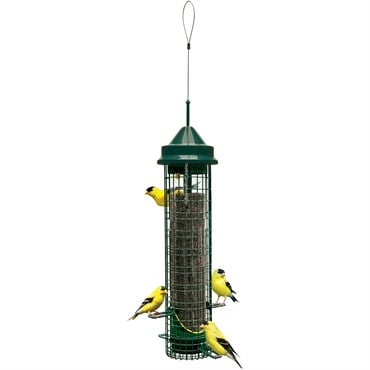 Brome Bird Care 5.3"x20.63" SquirrelBuster Finch Feeder