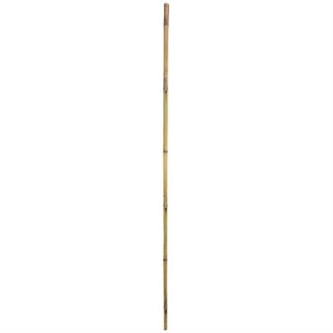 Gardener's Blue Ribbon Bulk 6'x1" Super Bamboo