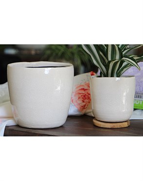 Jewel 6.5" Freeform Pot Ivc