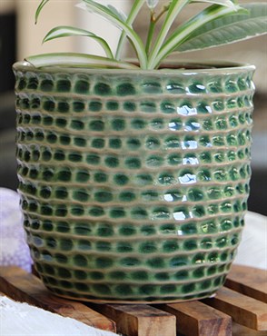 Palm Spring 9" Honey Comb Planter Emr