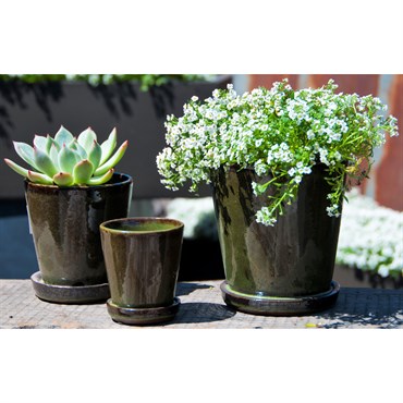 Verandah 4.5" Lilac Sz B Tgn