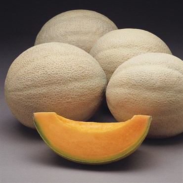 Cantaloupe , Athena Hyb Trtd - 100 Sd Ct