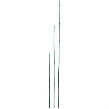 D&D Garden 6ct 5' Packaged Bamboo Stakes