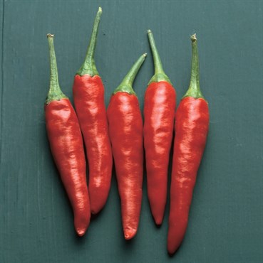 Peppers, Super Chili Hybrid 1000 Seed Count