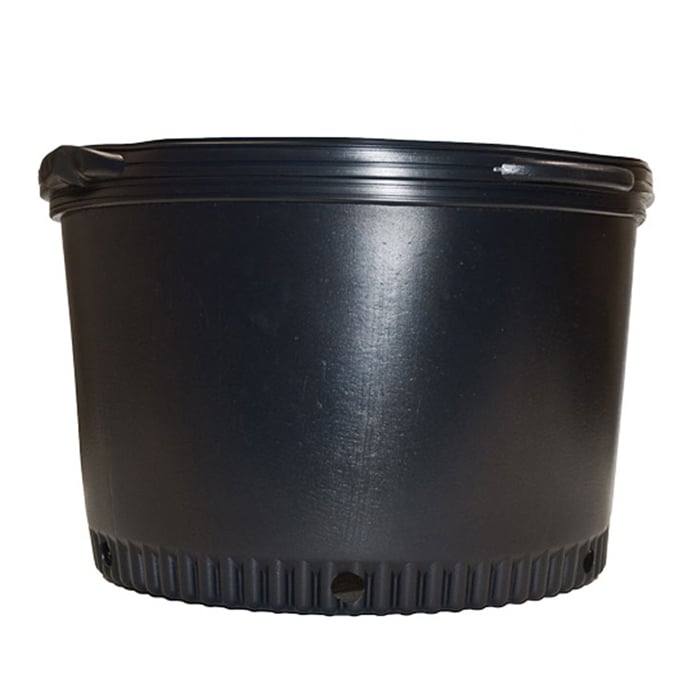 **REFURBISHED** 20 Gal. Squat Thermoformed Pot