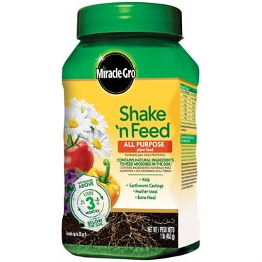 Miracle Gro 1