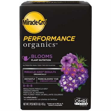 Miracle Gro 1