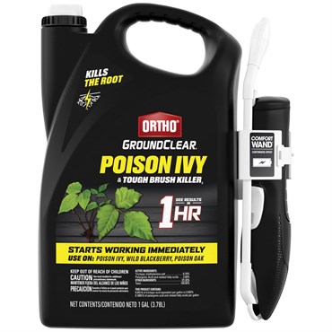 Ortho 1gal GroundClear Brush Killer RTU Wand