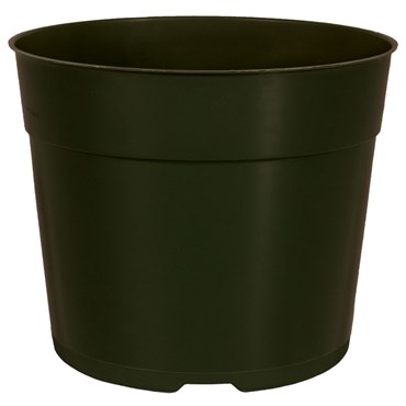 DLN 05.50 RND AZ TRAD T/W TX600 BLK 544/CS 30CS/PL