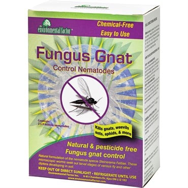 Enviro Nematodes Fungus Gnat Control