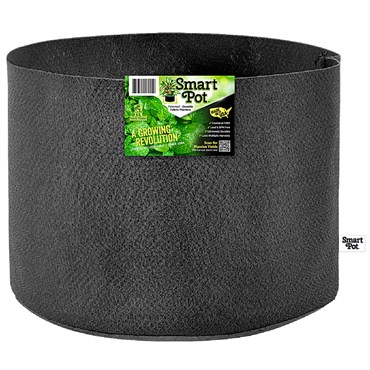 Smart Pot 20gal Tomato & Melon Black Grower With Display Box