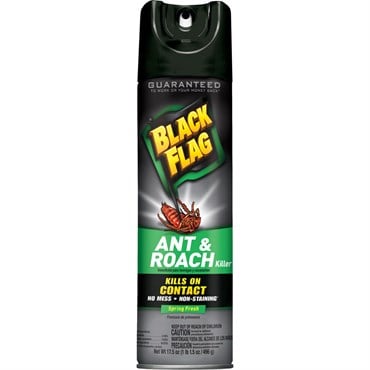 Black Flag 17.5oz Ant & Roach Spring Fresh Aerosol
