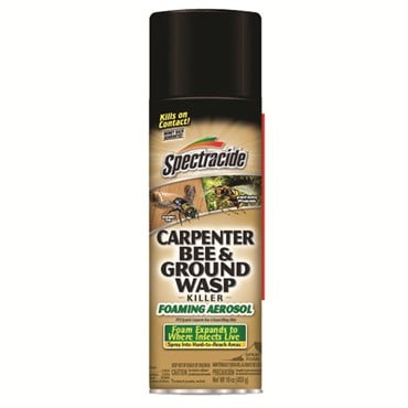 Spectracide 16oz Carpenter Bee & Ground Wasp Foam