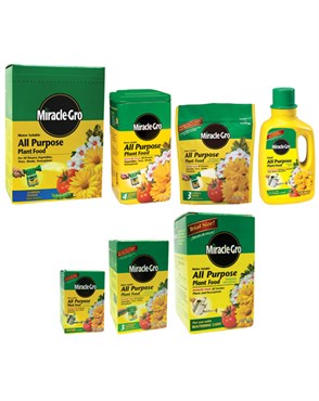 Miracle Gro 3