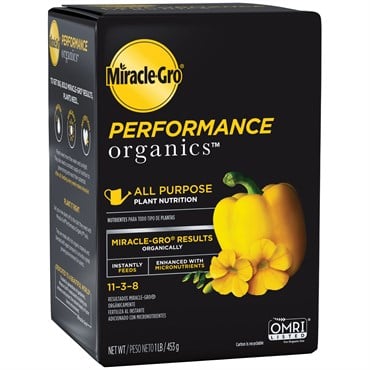 Miracle Gro 1