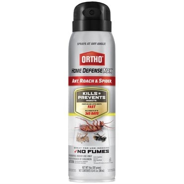 Ortho 14oz Ant, Roach & Spider Aerosol