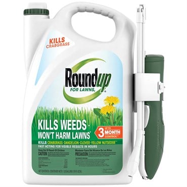 RoundUp 1.33gal RTU Roundup for Lawns