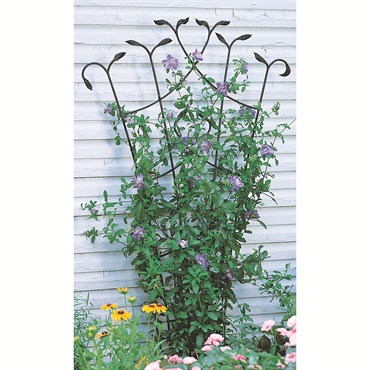 Panacea 80" Black Forged Fan Trellis With Leaves