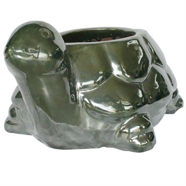 MCarr 13.4" Turtle Planter Falling Green