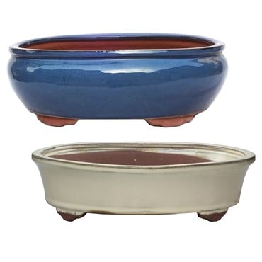 MCarr 2PC 14.6" Bonsai Planter Set Mixed Colors
