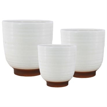 MCarr 24pc 4.3" X-Small Planter Set White