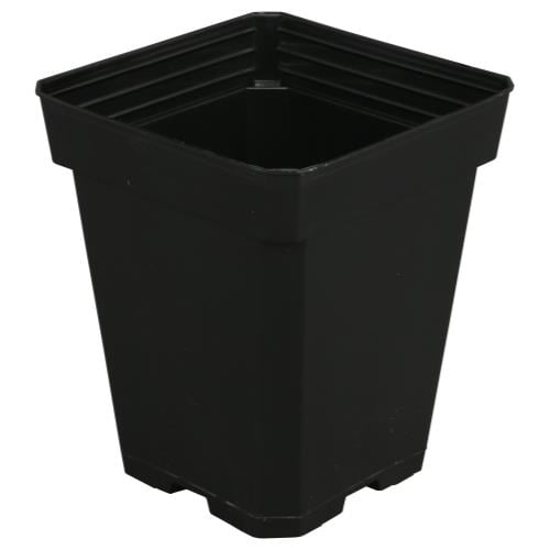 Gro Pro Black Plastic Pot 5 in x 5 in x 6.5 in